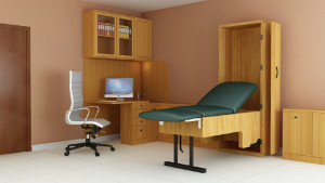 Medical Wall Bed